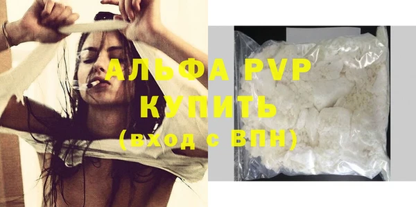 индика Горняк