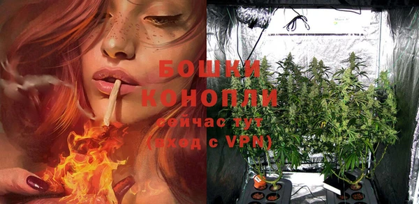 индика Горняк