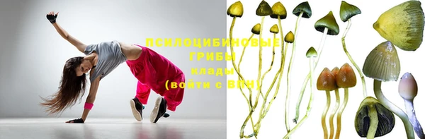 индика Горняк