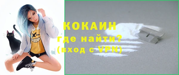 индика Горняк
