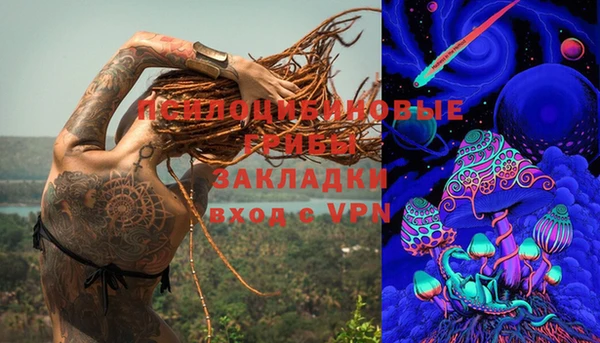 индика Горняк