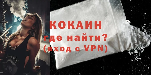 индика Горняк