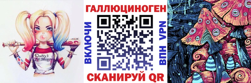 Псилоцибиновые грибы мицелий  Купить закладки  Чкаловск 